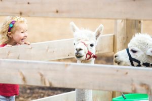 Een zorgboerderij starten zes aandachtspunten