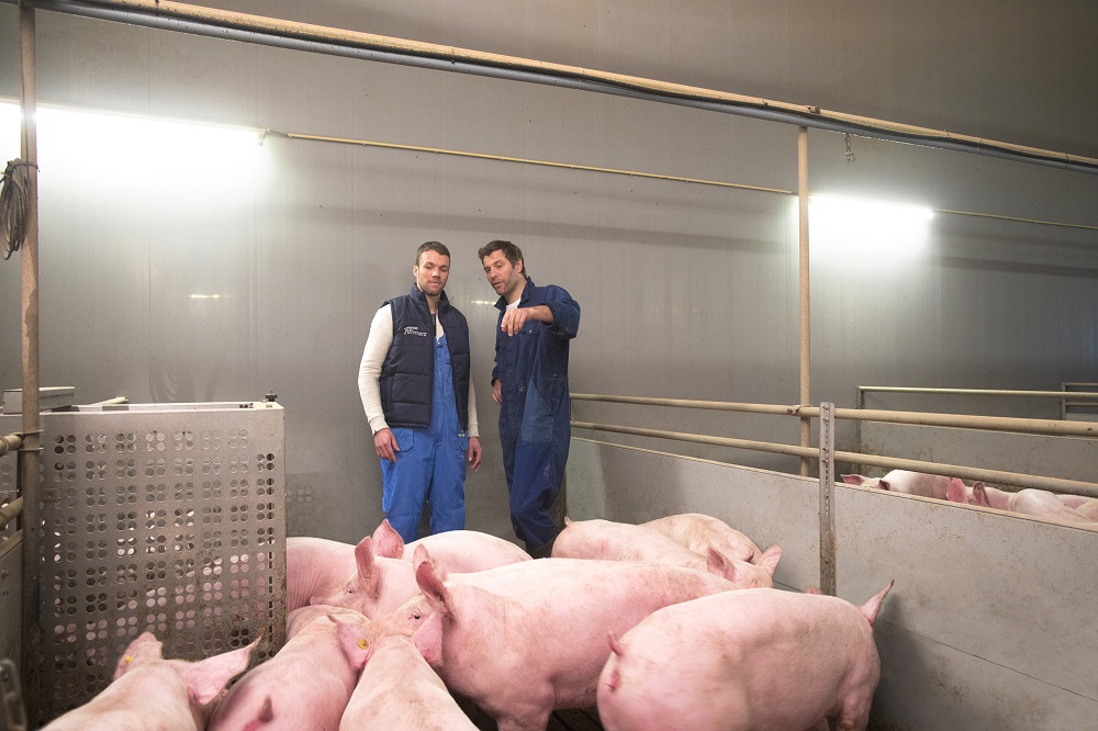 ForFarmers introduceert nieuwe streefwaarden voor de ideale opfokgelt