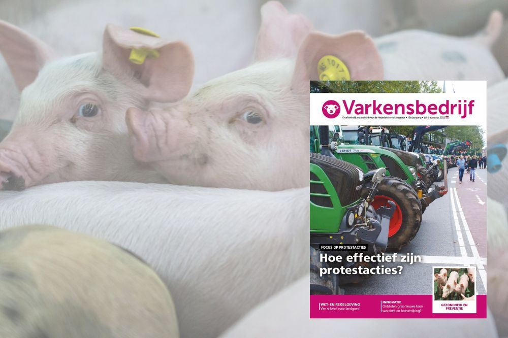 Eind deze week op de mat: vakblad Varkensbedrijf