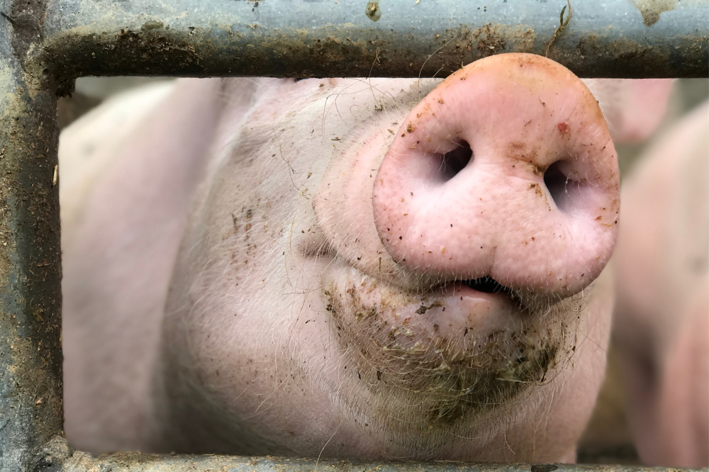 “Drinkwater is vaak het ondergeschoven kindje”