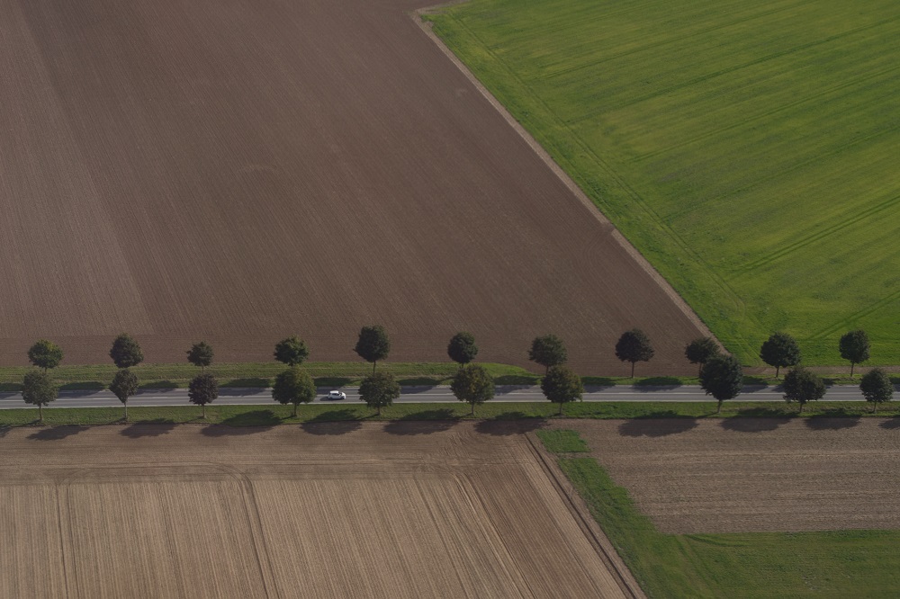 Landbouwgrond voor het eerst meer dan 80.000 euro per hectare