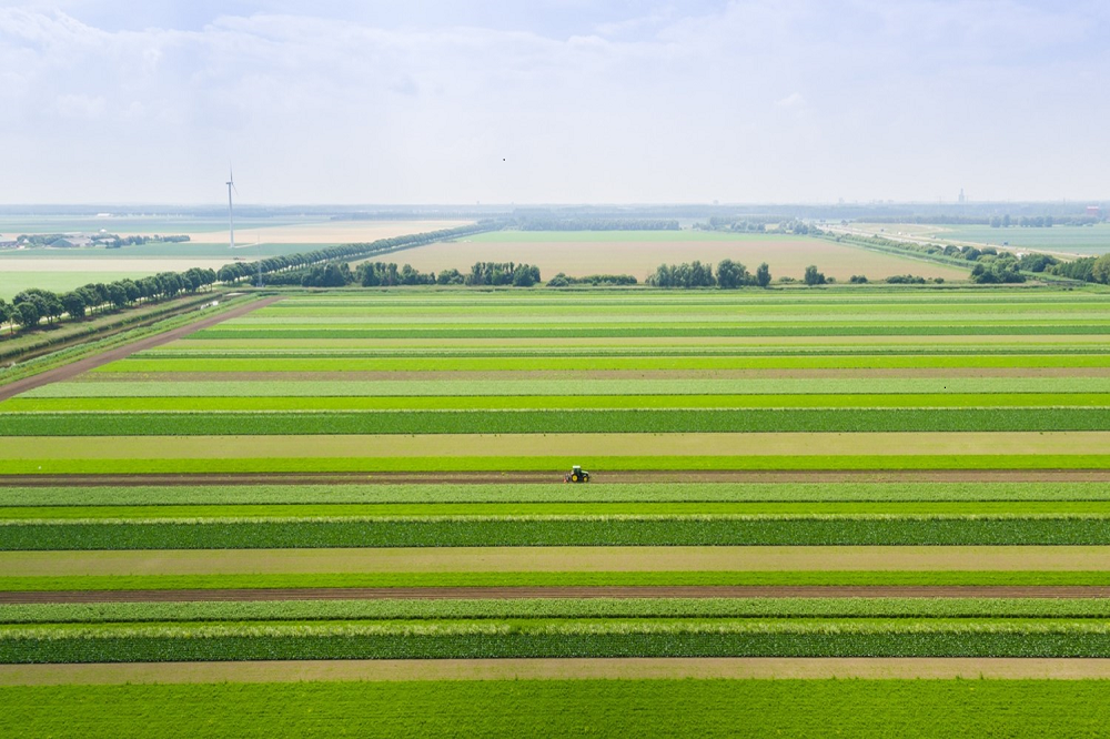 Politieke steun voor klimaatbewuste land- en tuinbouw: €5 miljard uit Klimaatfonds